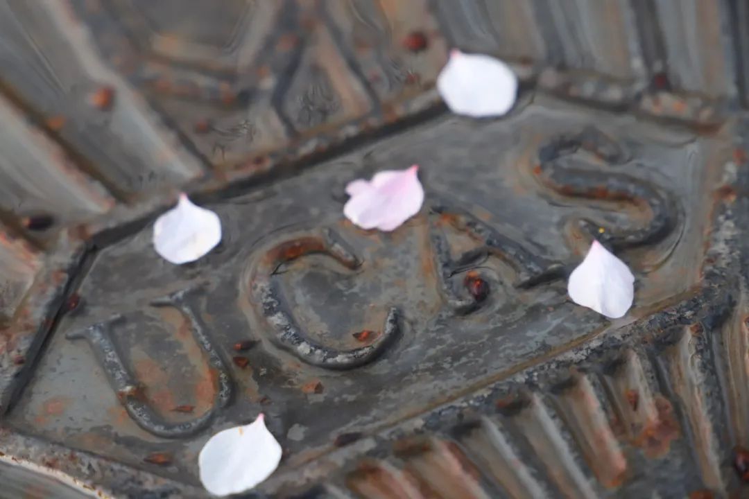 学长学姐肺腑分享助你一臂之力_高考倒计时10天备考试心得_高考冲刺